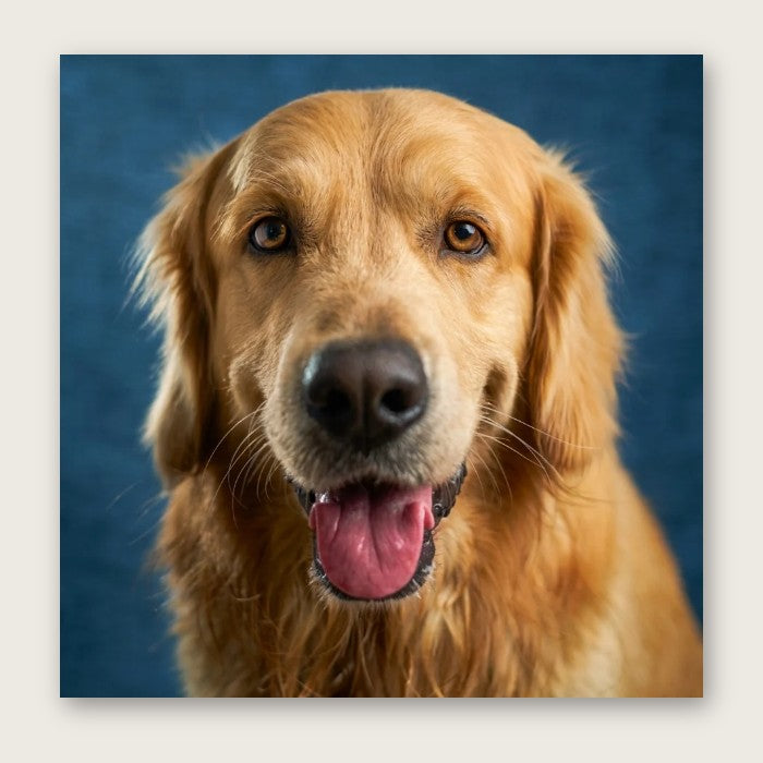 Custom Pet Portrait