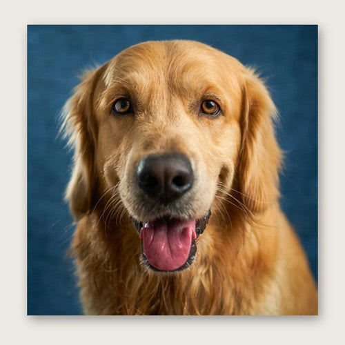 Custom Pet Portrait